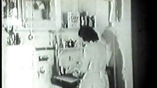 კოლეჯის ველური შავგვ ...