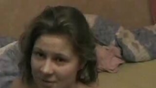 მორცხვი ვარდისფერთმი ...