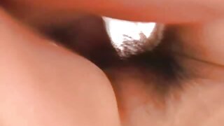 წითური ვიქსენი ვერონ ...